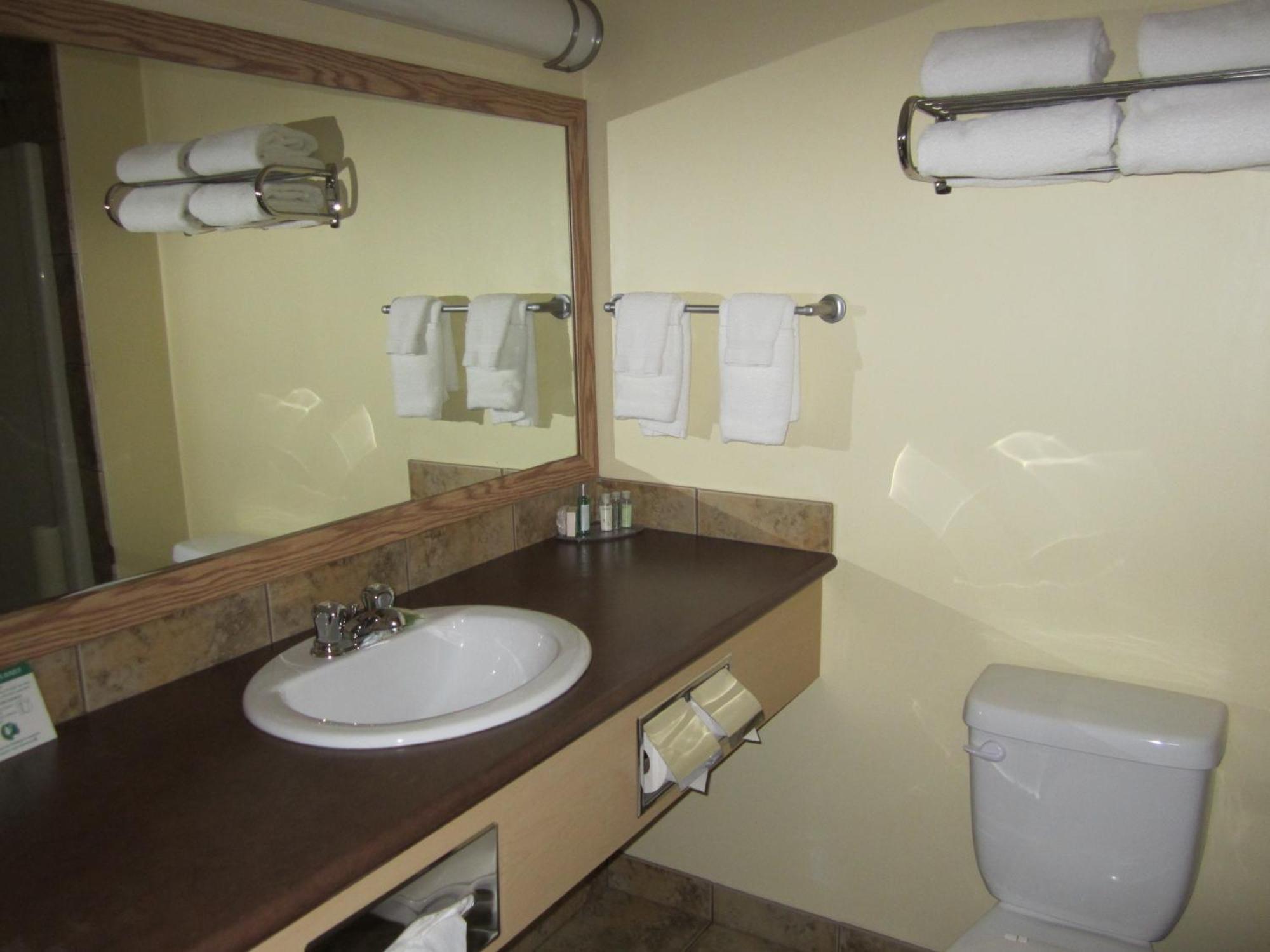 Trend Mountain Hotel & Conference Centre Tumbler Ridge Camera foto