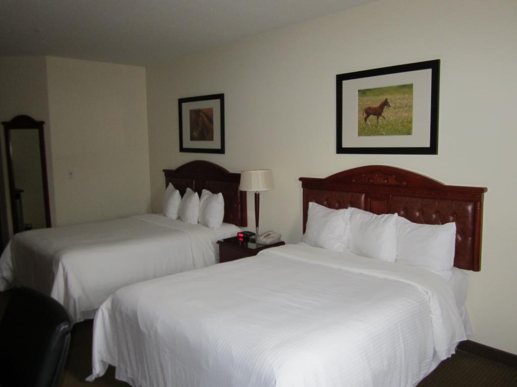 Trend Mountain Hotel & Conference Centre Tumbler Ridge Camera foto